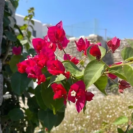 Dream 2, ολόκληρος χώρος με πισίνα * Párosz