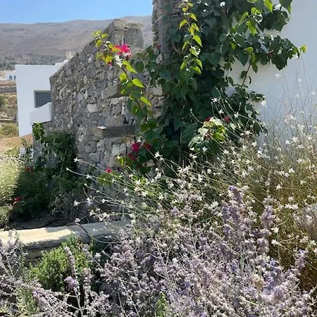Βίλα Dream 2, ολόκληρος χώρος με πισίνα Πάρος