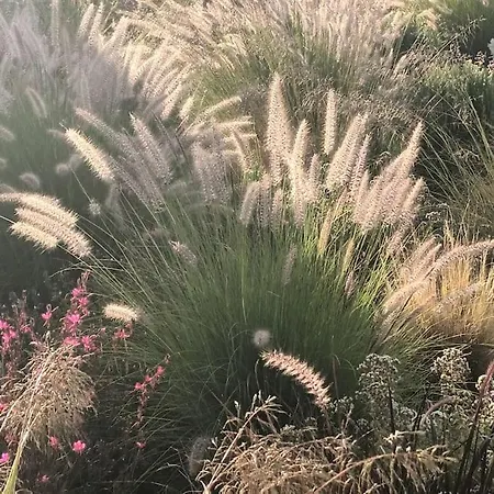 Dream 2, ολόκληρος χώρος με πισίνα *