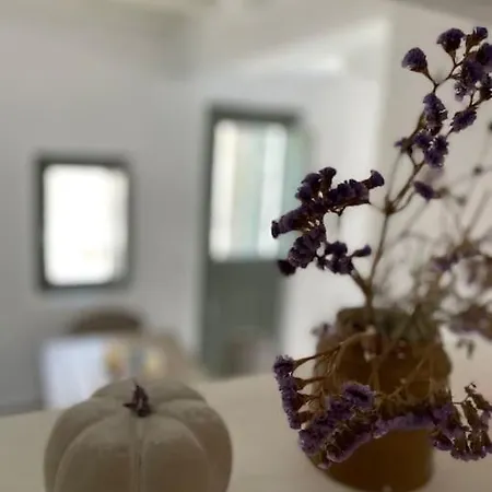 Βίλα Dream 2, ολόκληρος χώρος με πισίνα Πάρος