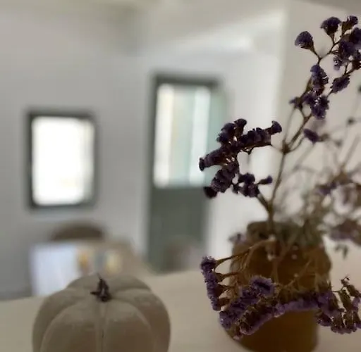 Villa Dream 2, ολόκληρος χώρος με πισίνα Páros