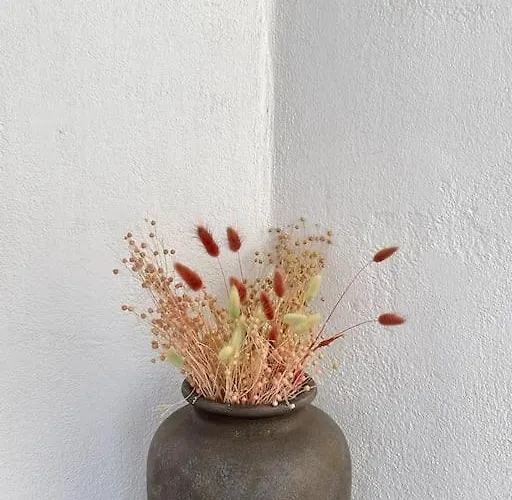 Villa Dream 2, ολόκληρος χώρος με πισίνα *