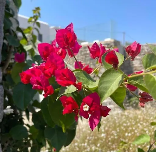 Dream 2, ολόκληρος χώρος με πισίνα * パロス島