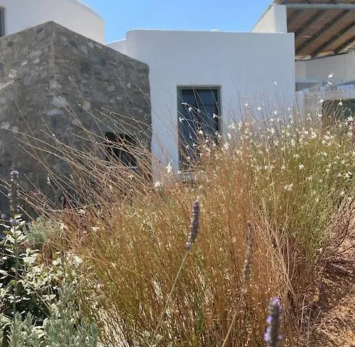 Dream 2, ολόκληρος χώρος με πισίνα Páros